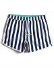 Mens Classic Striped Print Loose Quick Dry Drawstring Waist Holiday Beach Board Shorts Mens Classic Striped Print Loose Quick Dry Drawstring Waist Holiday Beach Board Shorts